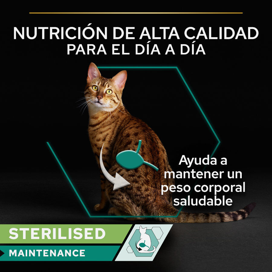 85 g Pro Plan Sterilised Maintenance Terrina con at&uacute;n y salm&oacute;n para gatos, , large Imagen numero 2